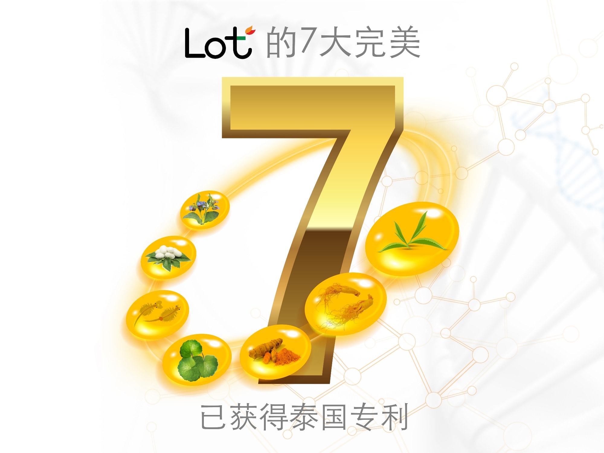 7 Perfect of LOT (Chinese version) โดย ลอต ลอเรียนท์ LOT LORIENT