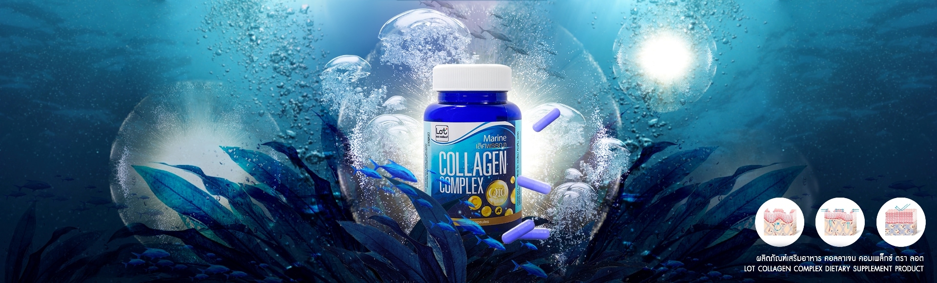 Collagen Complex Dietary Supplement (LOT Brand)